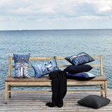 Green/Blue Door with Hinge Decorative Pillow