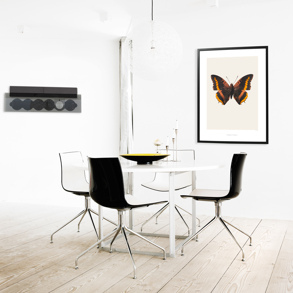 Hagedornhagen Butterfly Art Print -  'New Collection S14'