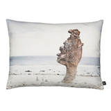 Beach Rock Decorative Pillow
