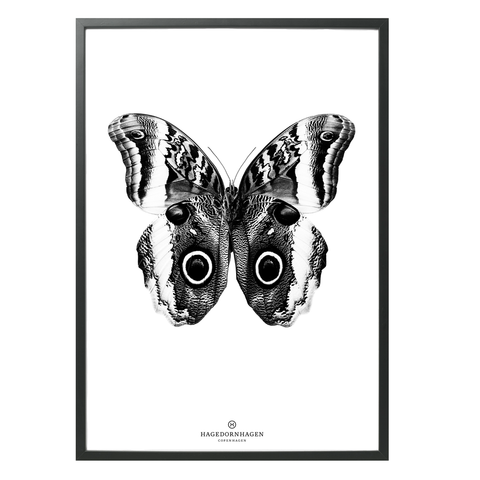 Hagedornhagen Butterfly Art Print -  'BW3-Silver Foil'