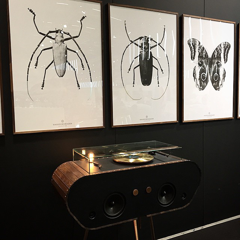Hagedornhagen Black Beetle Art Print -  'BW2-Silver Foil'